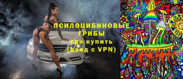 прущие грибы Аркадак