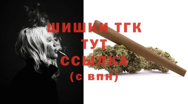 прущие грибы Аркадак