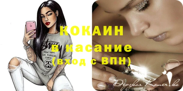 прущие грибы Аркадак